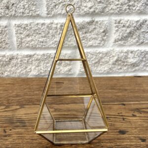 À l'ombre des ouches - terrarium bertille new